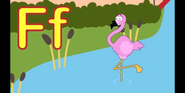 TFL Flamingo