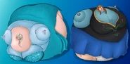 Elsa & Anna Inflated