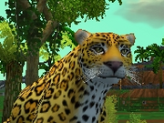 Brazilian-jaguar-zootycoon2018