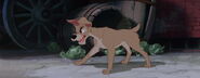 Lady-tramp-disneyscreencaps.com-4226