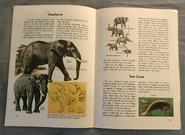 A Golden Exploring Earth Book of Animals (16).jpeg (1.77 MB)