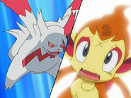 Hikozaru VS Zangoose! Destined Battle!! (October 18, 2007)