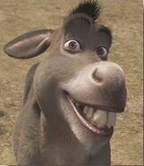 donkey as potty the parrot