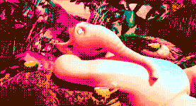 Ezgif.com-gif-maker (10)