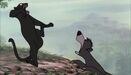Jungle-book-disneyscreencaps.com-3503.jpg (302 KB)