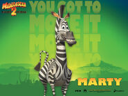 Marty the Zebra (Madagascar)