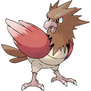 Spearow as Falcon