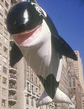 Baby Shamu (1986-1988)