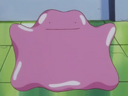 Ditto as Himself