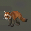 Red Panda