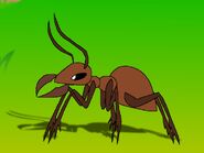 Rileys Adventures Leafcutter Ant