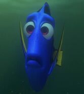 Sad Dory