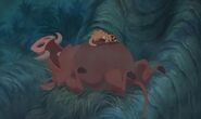 Timon and pumbaa sleeping and snoring by 1013746 ddx7xox-fullview