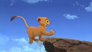 Lion-king2-disneyscreencaps.com-801