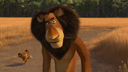 Madagascar2-disneyscreencaps.com-155