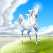 Unicorn (Fantasy)