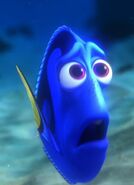 Dory in tears