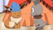 Eevee sleeping with a Nightcap