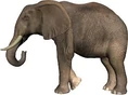 Elephants PNG.jpg (7 KB)