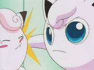 Jigglypuff Pound