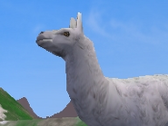 Llama-zootycoon2018