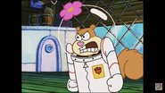 Sandy Cheeks Angry