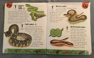 Snake Dictionary (17)
