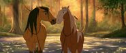 Spirit And Rain As Horse Couple