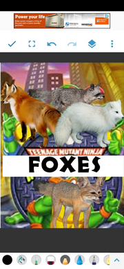 TMNFXS1987 (NR1 Style).png