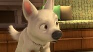 Bolt-disneyscreencaps.com-1580