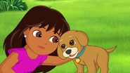 Dora and Freinds Into the City! Dog