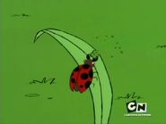 Ladybug, Seven-Spotted (Ed, Edd n Eddy)