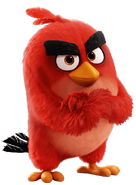 Red angry birds 2016
