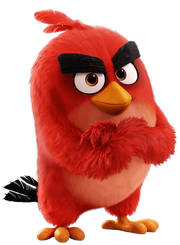 Red angry birds 2016