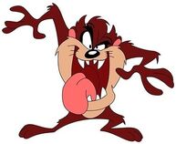 Tasmanian Devil.jpg