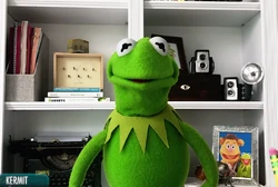 Kermit the Frog | The Parody Wiki | Fandom