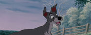 Lady-tramp-disneyscreencaps.com-5770