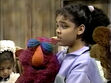Telly falls asleep around sheep in episode 3554