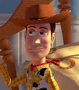 Woody as Joe