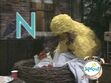 Big Bird and Ernie are asleep at the end of episode 3913