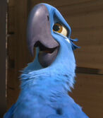 Blu in Rio 2