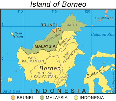 Borneo The Parody Wiki Fandom