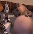 Marty The Zebra and Gloria The Hippo sleeping