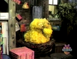 Big Bird sleeping in episode 198