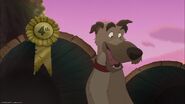 Chief as Rufus
