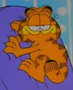 GARFIELD