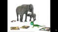 Henry's Amazing Animals Elephants.png (613 KB)