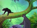 Jungle-cubs-volume02-baloo-and-bagheera01.jpg (76 KB)