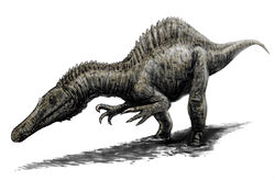 Siamosaurus.jpg
