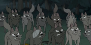 Wolves as Wolves